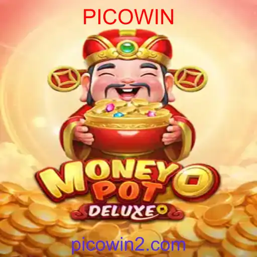 MoneyPotDELUXE